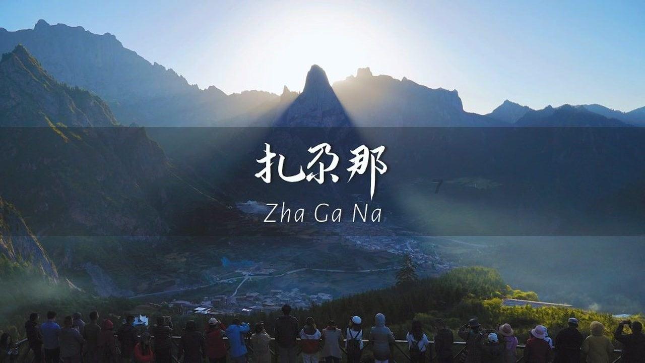 探索世界奇妙的蜗牛世界-你能接受合租室友不告知就养宠物吗?问答平台