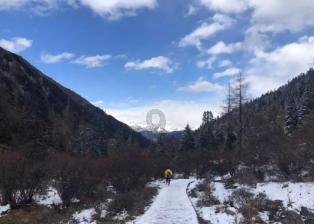 全民剧本大师内置菜单