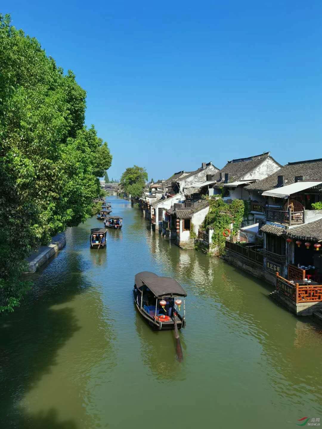 沪江开心词场